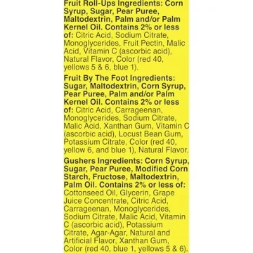 Fruit Snacks Variety Pack for Kids - 16 Count