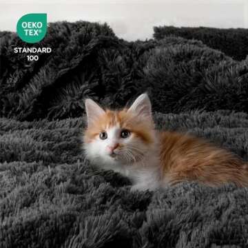 Dreamcountry Plush Fluffy Oeko-TEX Certified Luxury Ultra Soft Shaggy Crystal Velvet Bedding Set 3 Pieces(1 Duvet Cover + 2 Pillow Shams) Zipper Closure(Queen, Dark Gray)