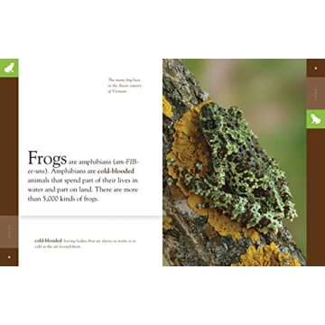 Frogs (Amazing Animals)
