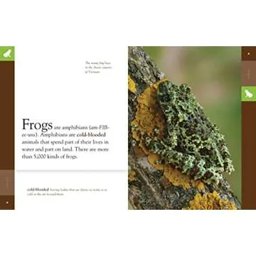 Frogs (Amazing Animals)