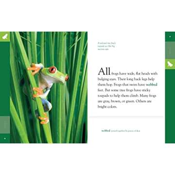 Frogs (Amazing Animals)