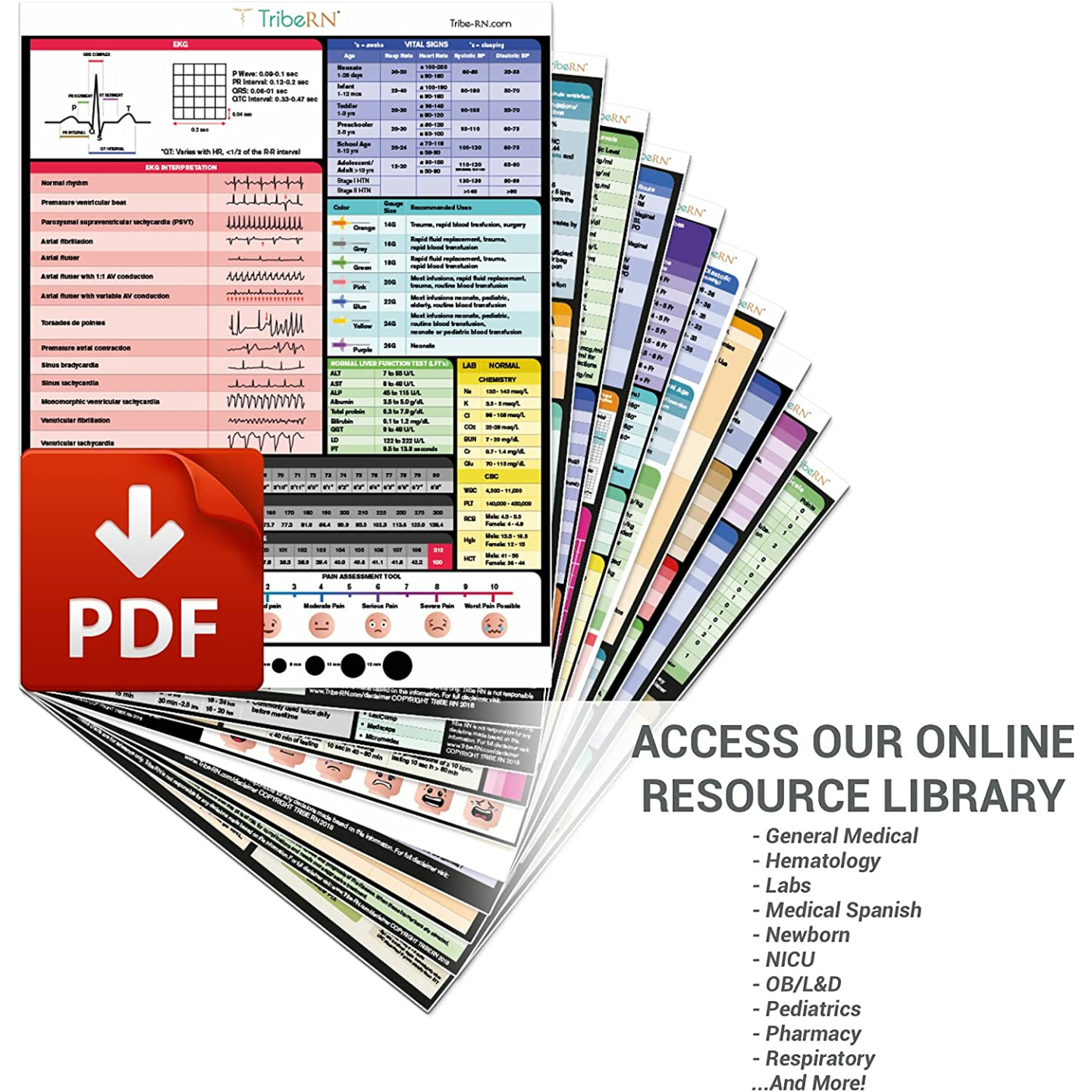 BadgeGuru 2.0 Nursing Reference Cards Set