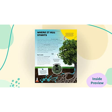 Engaging Science Activities for Kids with Food Science