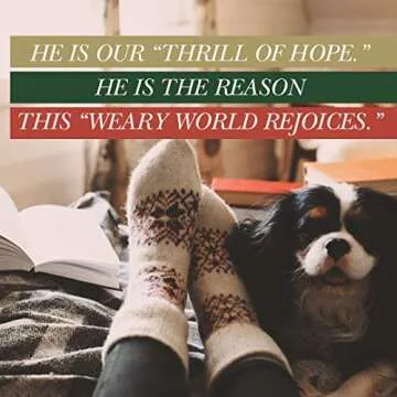 Advent Bible Study Book The Weary World Rejoices