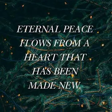 Advent Bible Study Book The Weary World Rejoices