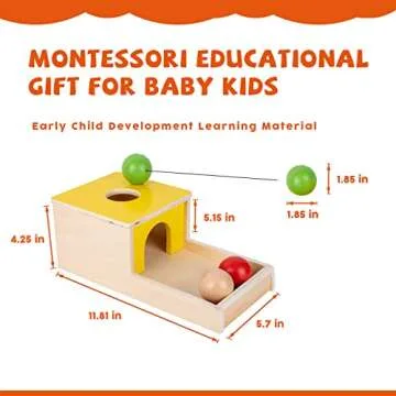 Montessori Toys for 1+ Year Old Baby Gifts,Play Kit Box Includes Carrot Harvest Games,Infant Coin Box,Fine Motor Skills Toys and Object Permanence Box,Montessori Toys for Babies 6-12 Month(4-in-1)