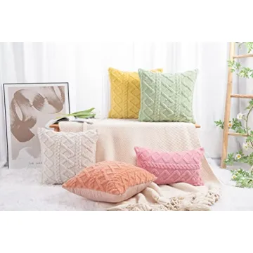 MADIZZ Set of 2 Soft Plush Fuzzy Throw Pillow Covers 20x20