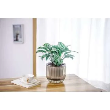 Melphoe 2 Pack Self Watering Hanging Planters Indoor Flower Pots, 6.5 Inch Outdoor Hanging Plant Pot Basket, Plant Hanger with 3Hooks Drainage Holes for Garden Home (Gray + White)