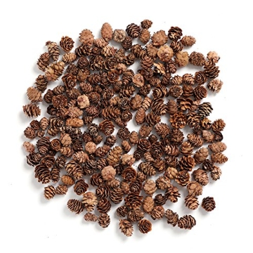 BYHER Pine Cones Bulk Package, 8OZ of Mini Pinecones - 110 Natural Pinecones for Crafts