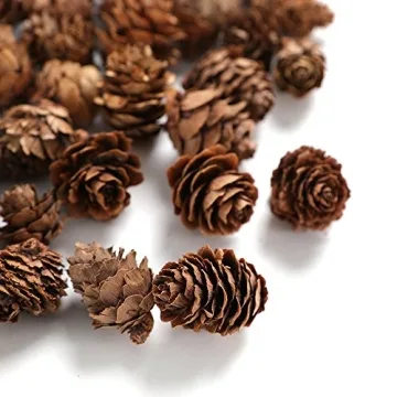 BYHER Mini Pinecones Bulk Craft Supply - 110 Natural Pine Cones