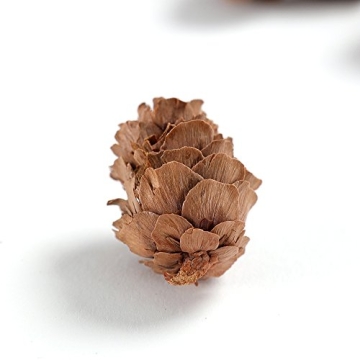 BYHER Mini Pinecones Bulk Craft Supply - 110 Natural Pine Cones