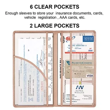 Cacturism Car Registration Holder with Magnetic Shut