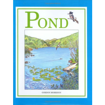 Pond: A Stunningly Illustrated Journey Through Nature's Wonders