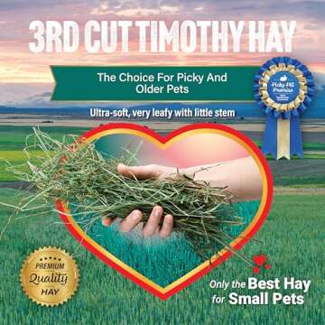 Small Pet Select 3rd Cutting Super Soft Timothy Hay Pet Food for Picky Eaters, Rabbits, Guinea Pigs, and Other Small Animals, Easy to Store Box, 10 LB