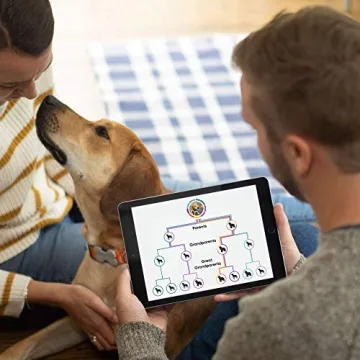 Embark Dog DNA Test Kit for Accurate Breed Testing