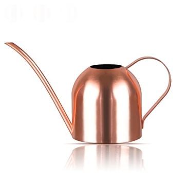 AMORNING Watering Can Indoor Outdoor for Kids House Desk Office Plants and Garden Bonsai Stainless S...