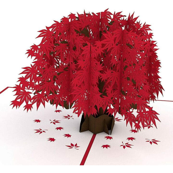 Japanese Maple Pop Up Card - Perfect for Mom & Anniversary