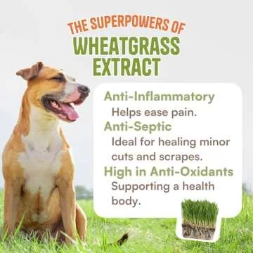 Organic Dog Paw Balm - Lick Safe Moisturizer for Dogs