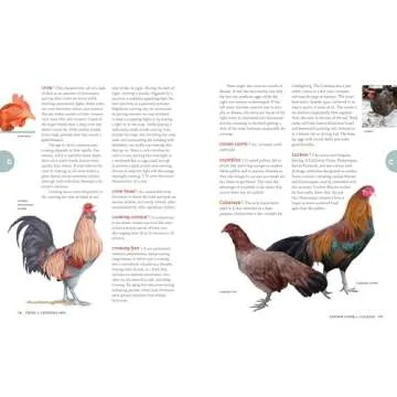 The Chicken Encyclopedia: Your Ultimate Poultry Reference Book