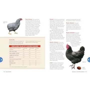The Chicken Encyclopedia: Your Ultimate Poultry Reference Book