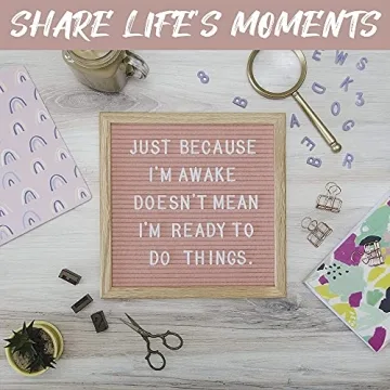 Light Pink Felt Letter Board 10x10 with 300 Letters