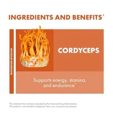 Host Defense Cordyceps Capsules for Immune & Energy Support