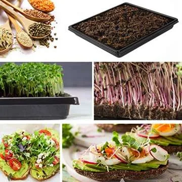 ANPHSIN 10pcs Plant Growing Seed Starter Trays - Thickened 10.6'' × 10.6'' Microgreens Sprouting Trays for Garden Greenhouse Indoor Wheatgrass Sprouting Propagation Plant Transplant, ​ No Drain Holes