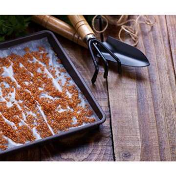 ANPHSIN 10pcs Plant Growing Seed Starter Trays - Thickened 10.6'' × 10.6'' Microgreens Sprouting Trays for Garden Greenhouse Indoor Wheatgrass Sprouting Propagation Plant Transplant, ​ No Drain Holes