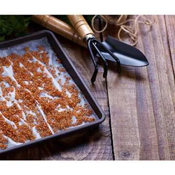 ANPHSIN 10pcs Plant Growing Seed Starter Trays - Thickened 10.6'' × 10.6'' Microgreens Sprouting Trays for Garden Greenhouse Indoor Wheatgrass Sprouting Propagation Plant Transplant, ​ No Drain Holes