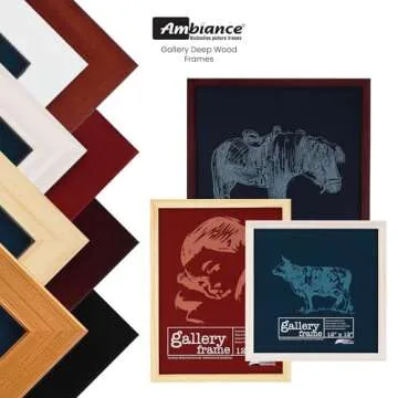 Ambiance Gallery Wood Picture Frames for Elegant Decor