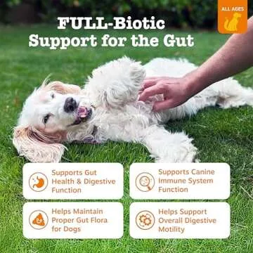 Zesty Paws Vet Strength Probiotics for Dogs, Digestive Health & Gut Flora Support, Dog Supplements, ...