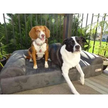 Big Barker Orthopedic Dog Bed for Large Dogs - Supports Joints
