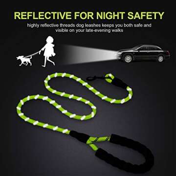 Petmegoo Heavy Duty 5ft Dog Leash for Safety & Comfort