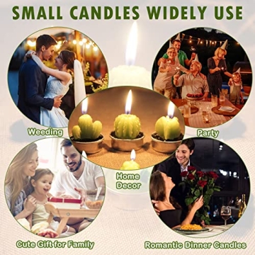 Outee Cactus Tealight Candles for Parties and Home Decor