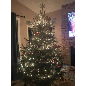 Stable Christmas Tree Stand for 8-Foot Live Trees