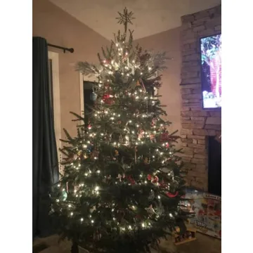 Stable Christmas Tree Stand for 8-Foot Live Trees