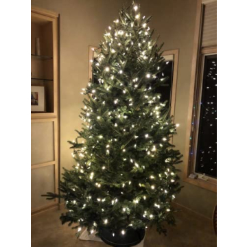 Stable Christmas Tree Stand for 8-Foot Live Trees