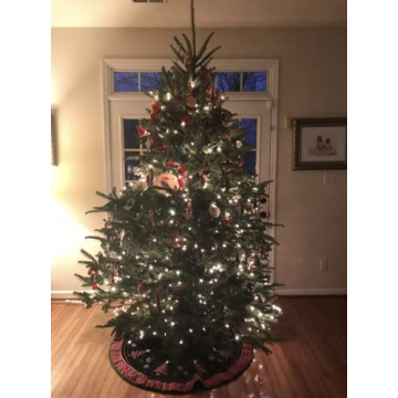 Stable Christmas Tree Stand for 8-Foot Live Trees