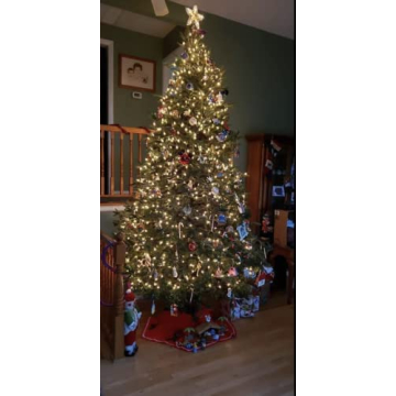 Stable Christmas Tree Stand for 8-Foot Live Trees