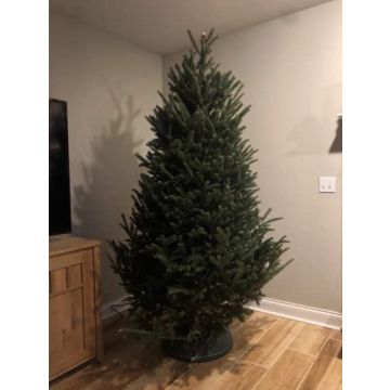 Stable Christmas Tree Stand for 8-Foot Live Trees