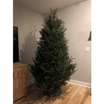 Stable Christmas Tree Stand for 8-Foot Live Trees