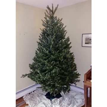 Stable Christmas Tree Stand for 8-Foot Live Trees