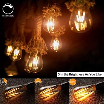 LUXON LED Edison Bulbs - Dimmable Amber Glass 2700K Vintage Style 6-Pack