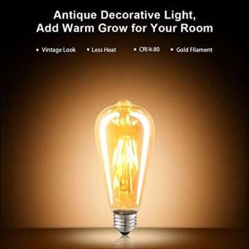 LUXON Vintage LED Edison Bulbs 40W Equivalent Warm Light