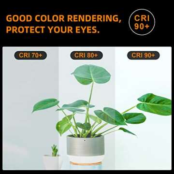 LUXON Vintage LED Edison Bulbs 40W Equivalent Warm Light