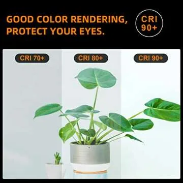 LUXON Vintage LED Edison Bulbs 40W Equivalent Warm Light