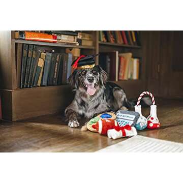 P.L.A.Y. Back to School Plush Toys for Dogs - Eco-Friendly & Durable Playtime