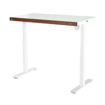 Seville Classics Airlift Electric Height Adjustable Desk with Tempered Glass Top, USB Charging Ergonomic Sit Stand Modern Home Office Workstation, 47.5" x 24" Wood Front Trim, Artic White