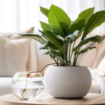 Blumat Classic Plant Watering Stakes - Self-Watering Insert for Indoor and Outdoor Plants - Automatic Slow Release Irrigation System for Potted Plants - Houseplant Care Device (6 Packs)