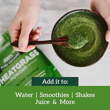 Sari Foods Organic Wheatgrass Powder - Wheat Grass Juice Powder with Chlorophyll, Antioxidants & Vitamins (15 Ounce)